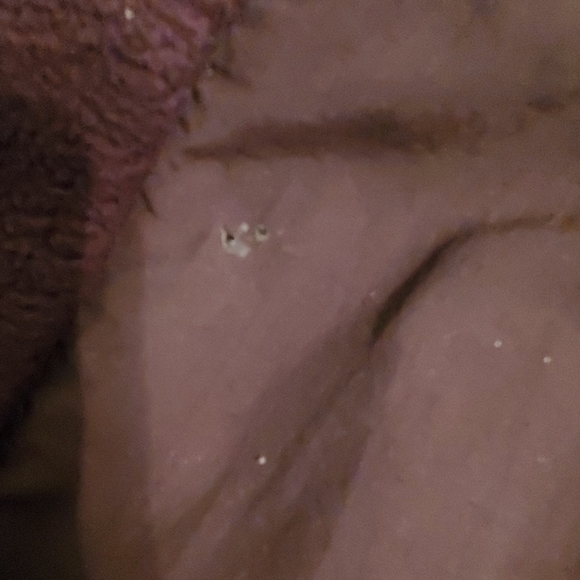 North Face Mens large jacket - Picture 3 of 3